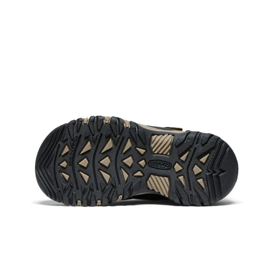 Little Kids' Targhee IV Waterproof Hiking Shoe