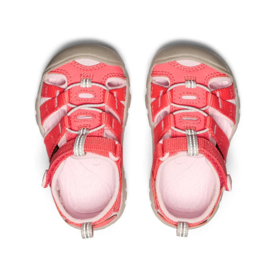 Toddlers' Seacamp II CNX