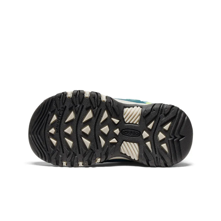 Little Kids' Targhee IV Waterproof Hiking Shoe
