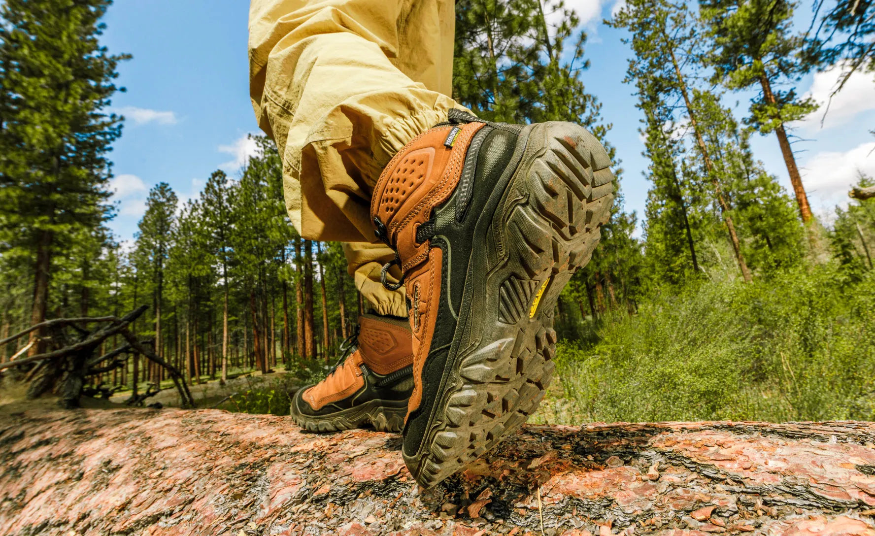 Men's Targhee IV Waterproof Hiking Boot