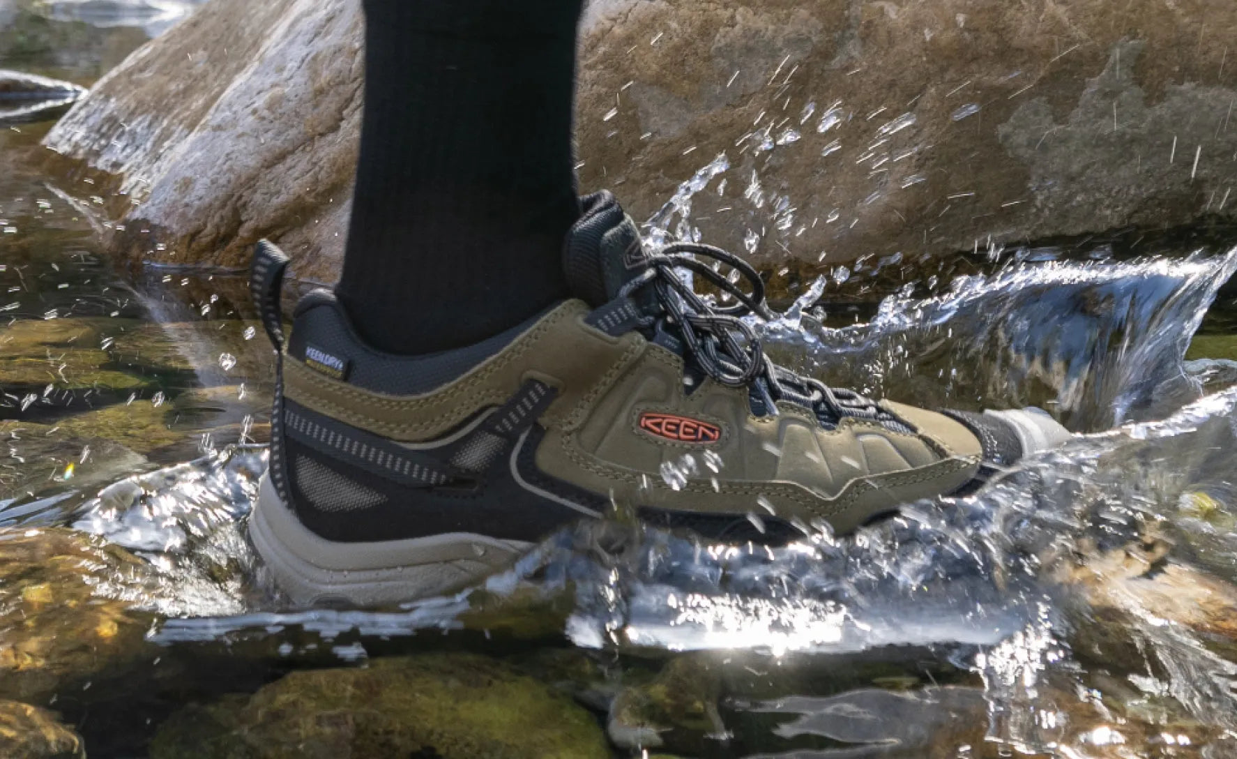 Men's Targhee IV Waterproof Hiking Shoe