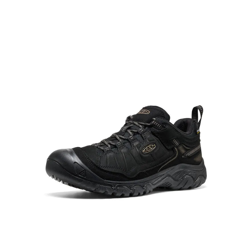 Men's Targhee IV Waterproof Hiking Shoe